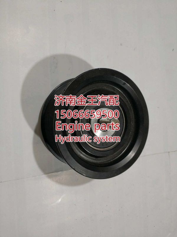 RDL120004/0838,,济南金王重汽配件经营部