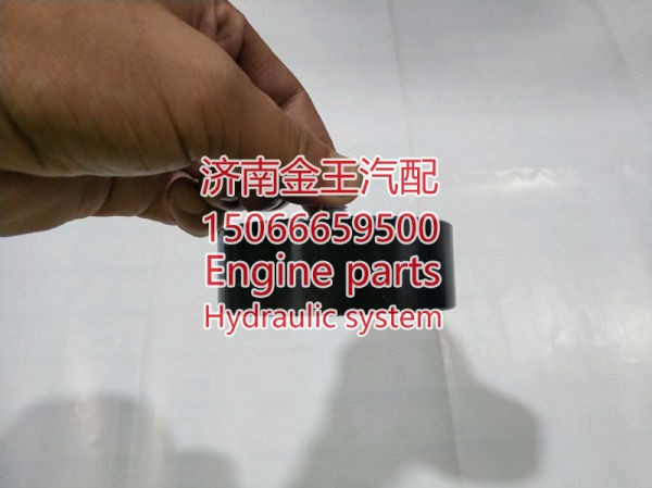 瑞德利0881皮带惰轮 RDL120049/ 0881/060006