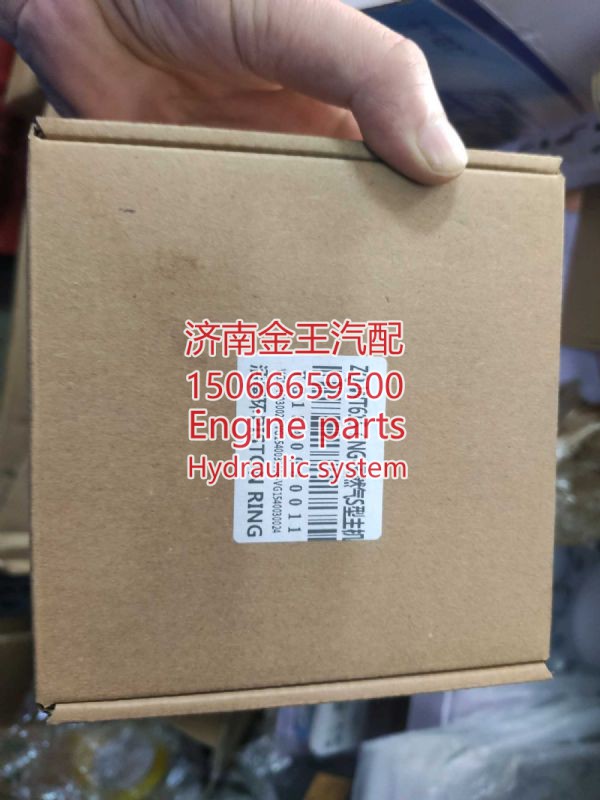 活塞环 燃气 VG1540030011