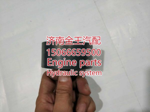 RDL828011/ 51958006099 6098,,济南金王重汽配件经营部
