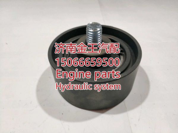 RDL828011/ 51958006099 6098,,济南金王重汽配件经营部