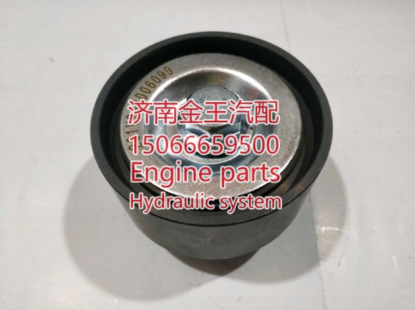 RDL828011/ 51958006099 6098,,济南金王重汽配件经营部