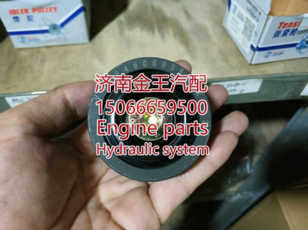 RDL727006/0057,,济南金王重汽配件经营部