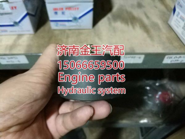 RDL727006/0057,,济南金王重汽配件经营部