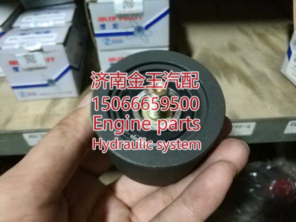 RDL727006/0057,,济南金王重汽配件经营部