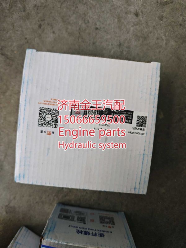 活塞环 潍柴燃气 612600030080