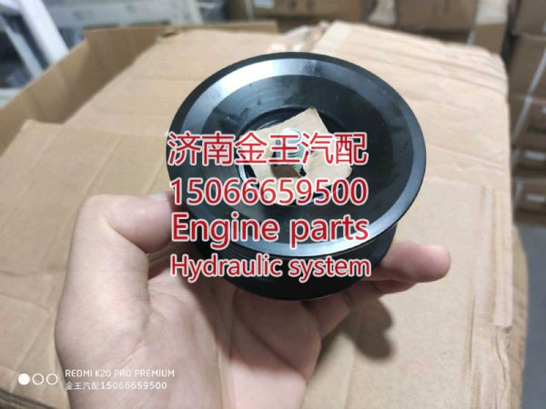 727003/ 1023020A36D,,济南金王重汽配件经营部
