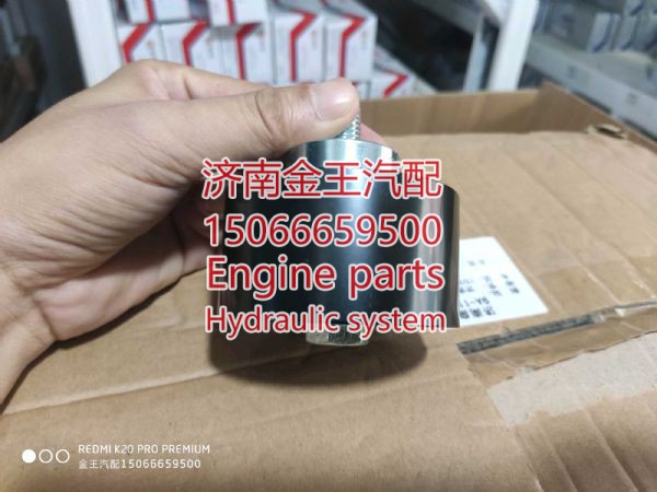 727011/5801327558,,济南金王重汽配件经营部