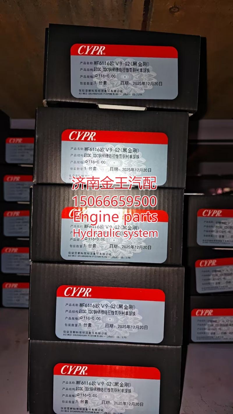 活塞环 p10h 1003321678@ [AQWZ]11620(新)-精品-二代