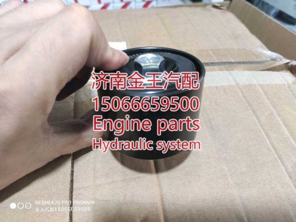 rdl720184/ 612630061100,,济南金王重汽配件经营部