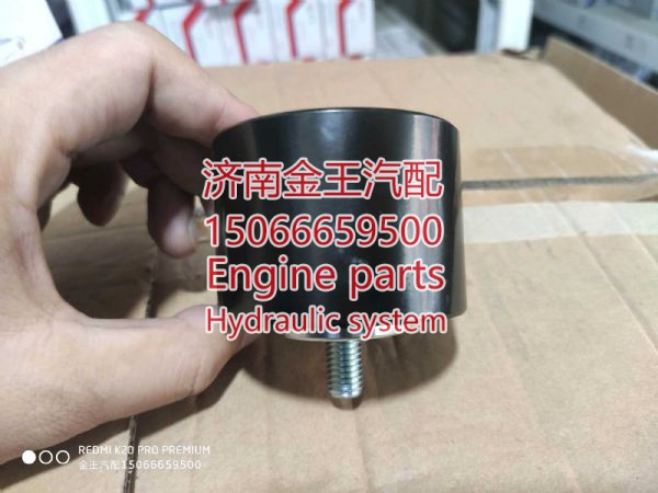 rdl720184/ 612630061100,,济南金王重汽配件经营部