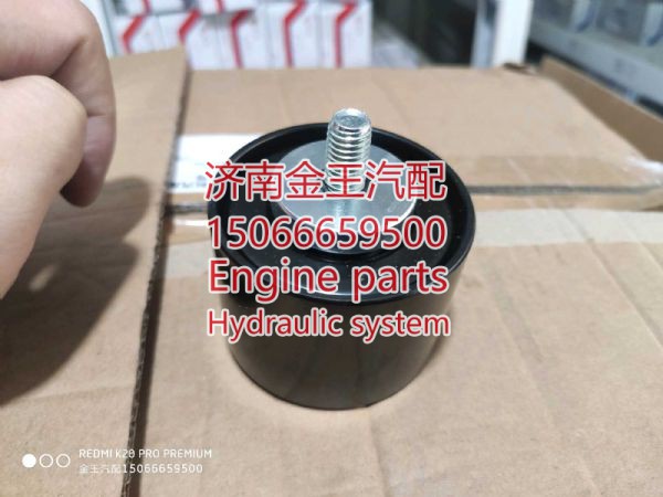 rdl720184/ 612630061100,,济南金王重汽配件经营部