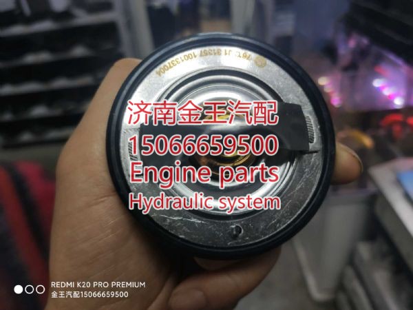 1000042280 1001546026 806101,,济南金王重汽配件经营部