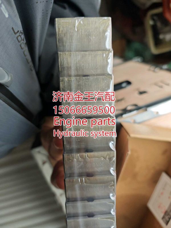 201v01113-0113/0115,,济南金王重汽配件经营部
