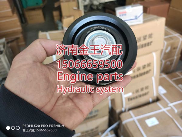D20TCIF-700011 720213,,济南金王重汽配件经营部