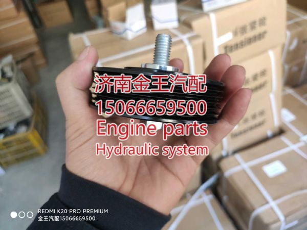 D20TCIF-700011 720213,,济南金王重汽配件经营部