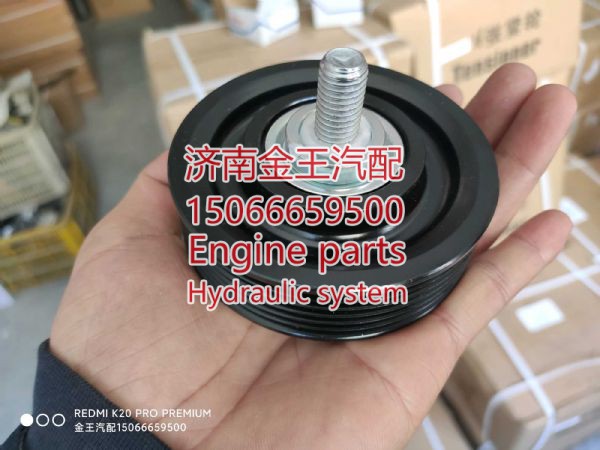 D20TCIF-700011 720213,,济南金王重汽配件经营部