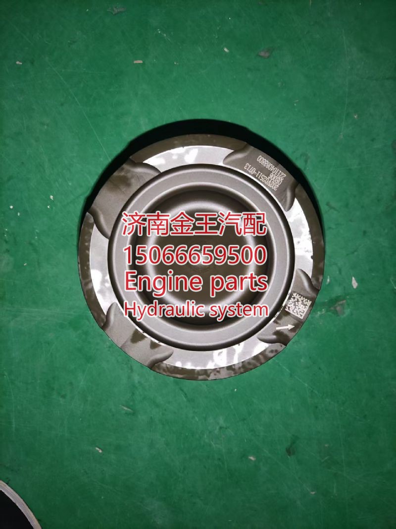 202V02511-0713,,济南金王重汽配件经营部