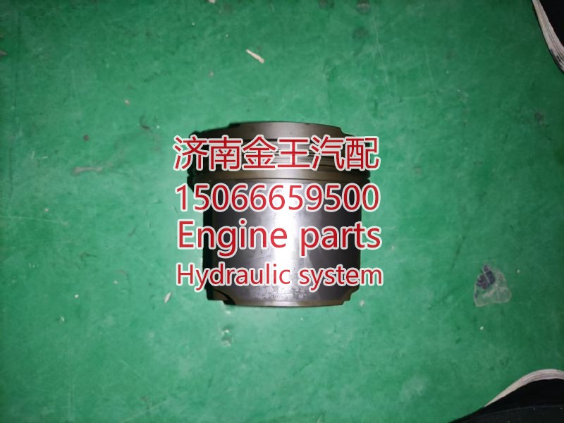 202V02511-0713,,济南金王重汽配件经营部