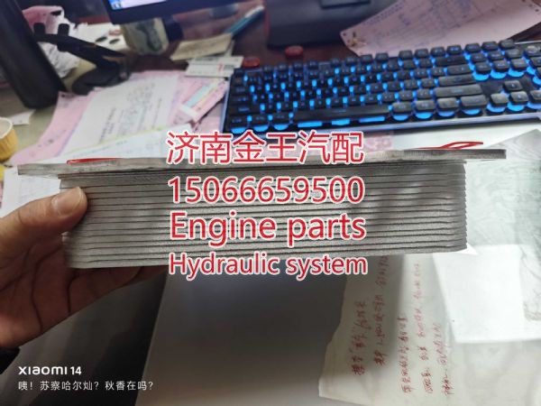 1013020/A11,,济南金王重汽配件经营部