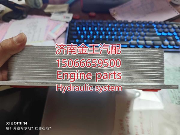 1013020/A11,,济南金王重汽配件经营部