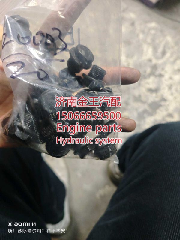 1001620875,,济南金王重汽配件经营部