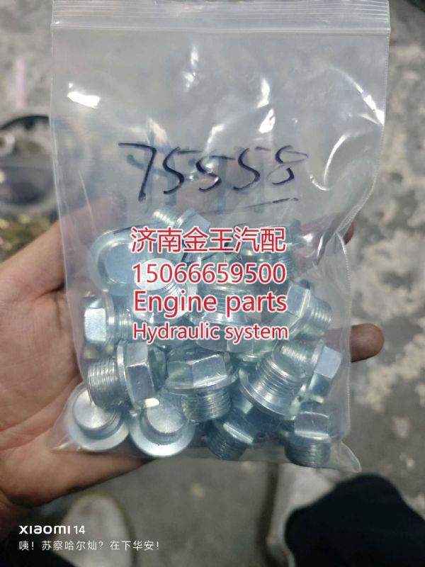 六角头螺塞 1001675558