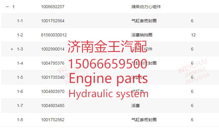 四配套 p10.5h 燃气 活塞1004803485 1008692257