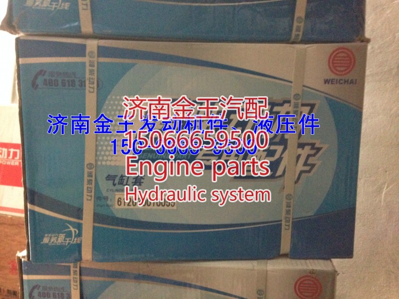 WP12汽缸套，气缸套612630010055