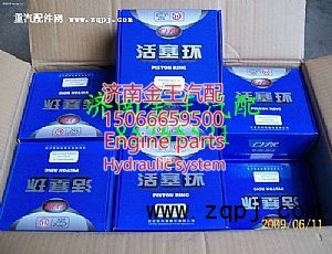 供应仪征欧二活塞环61560030044/5/6