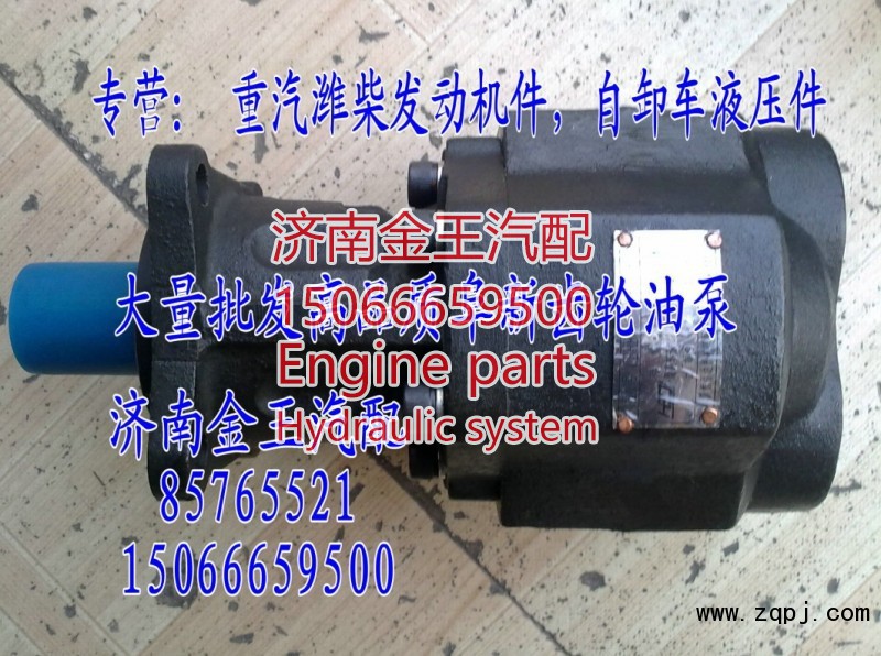 供应齿轮油泵，齿轮泵，液压泵CBHBD-F80H8S