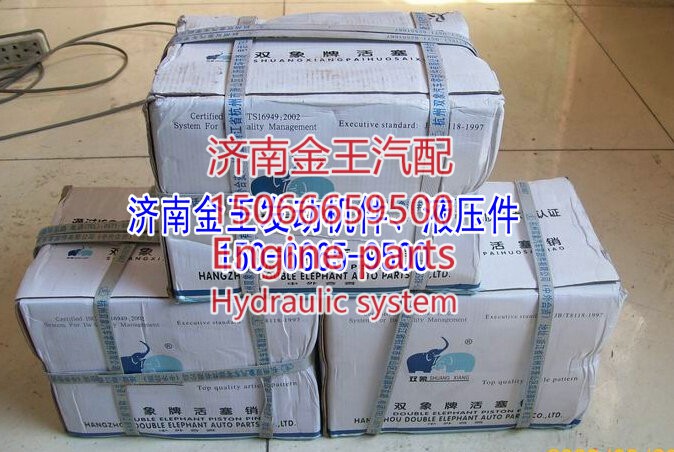 双象活塞销VG1560030013