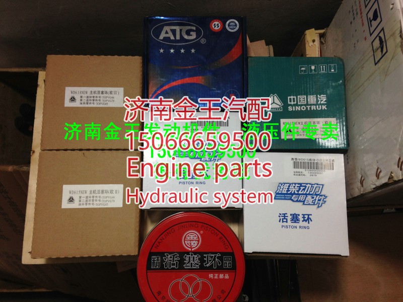 潍柴WP10活塞环612600030053