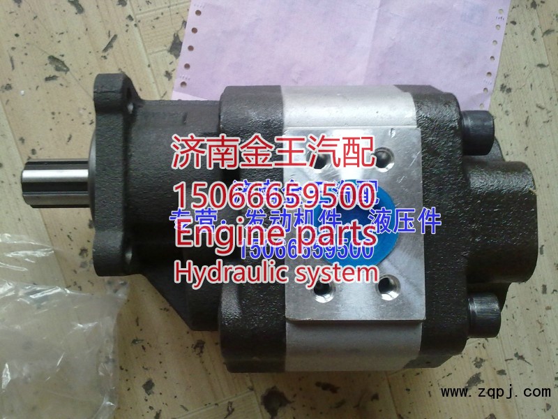 供应齿轮油泵，齿轮泵，液压泵CBHBD-F100H8，H6