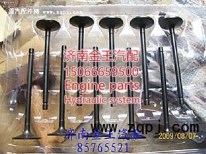 进，排气门VG1540050014，VG1540050015