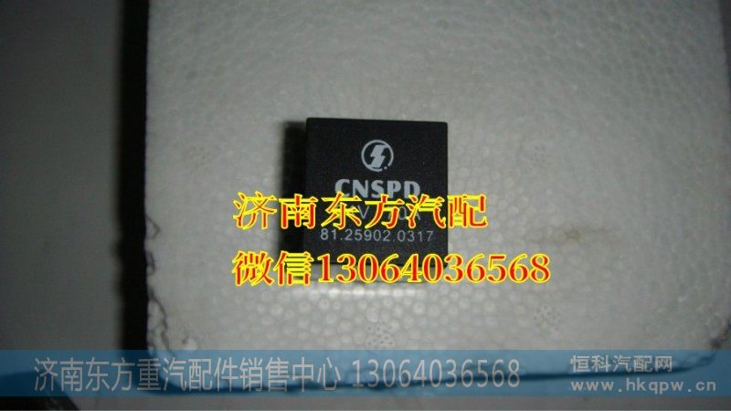 81.25902.0317中央继电器