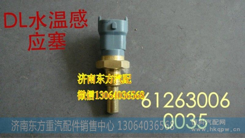 612630060035水温传感器WP10
