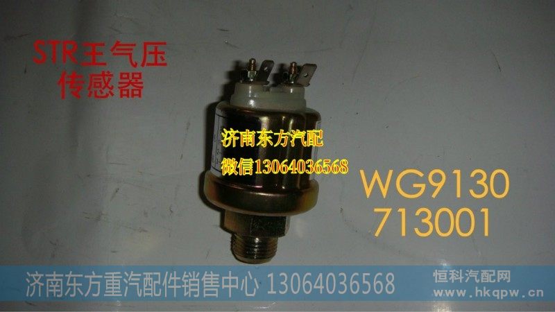 WG9130713001气压传感器(SW)