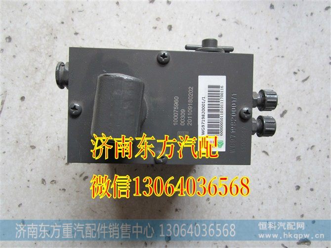 WG9719820001手压泵(HW)
