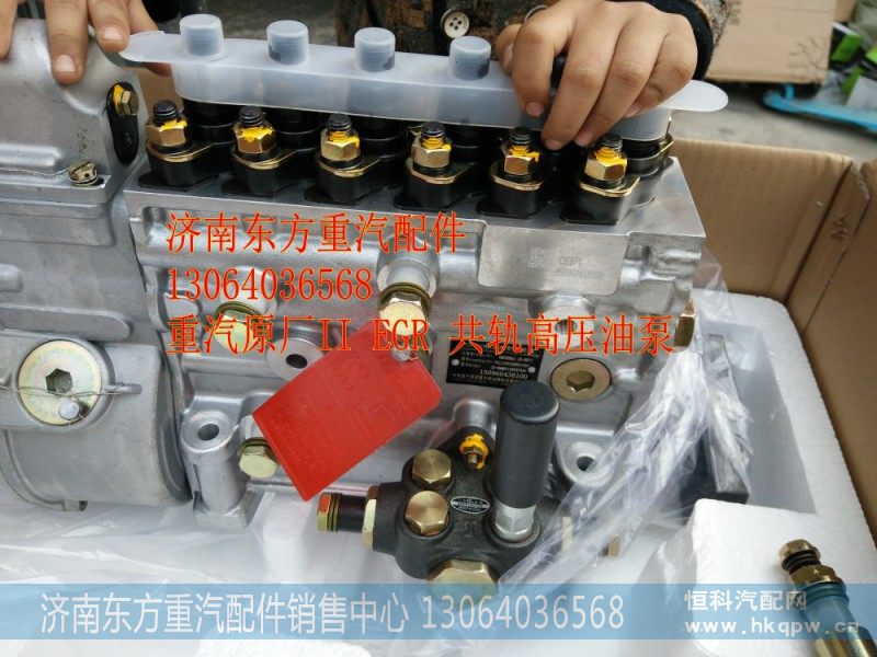 VG1560080022喷油泵总成(HOWO/欧Ⅱ)