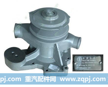 612600061296,水泵,济南大瑞汽车配件有限公司