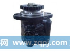 FZB11J 4102AZL.30.10,汽车转向助力泵,济南大瑞汽车配件有限公司