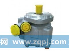 FZB12E9- H4340030002A0,转向泵,济南大瑞汽车配件有限公司