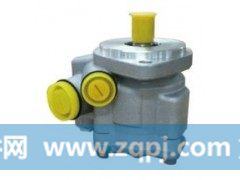 FZB12E9 H4340030002A0,转向泵,济南大瑞汽车配件有限公司