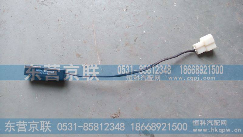 WG1630820313温度传感器总成