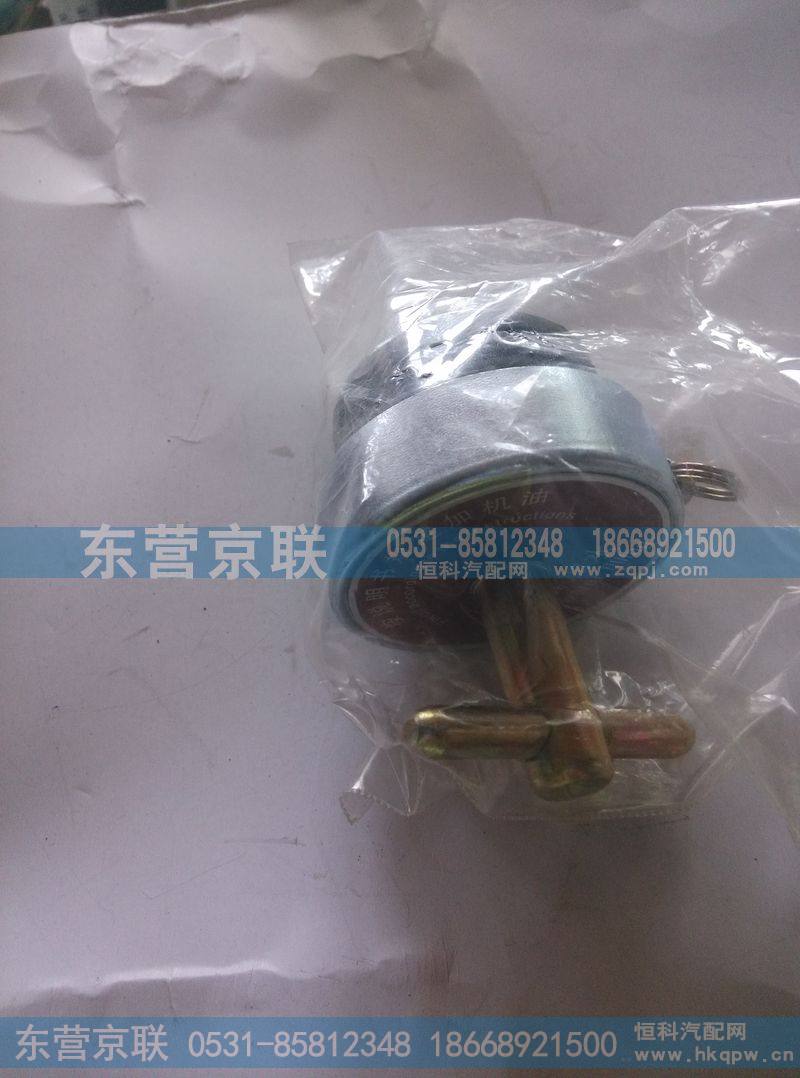 WG2600010489加油管总成