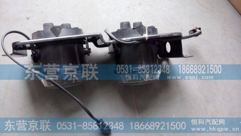 WG9719720015左前组合灯总成