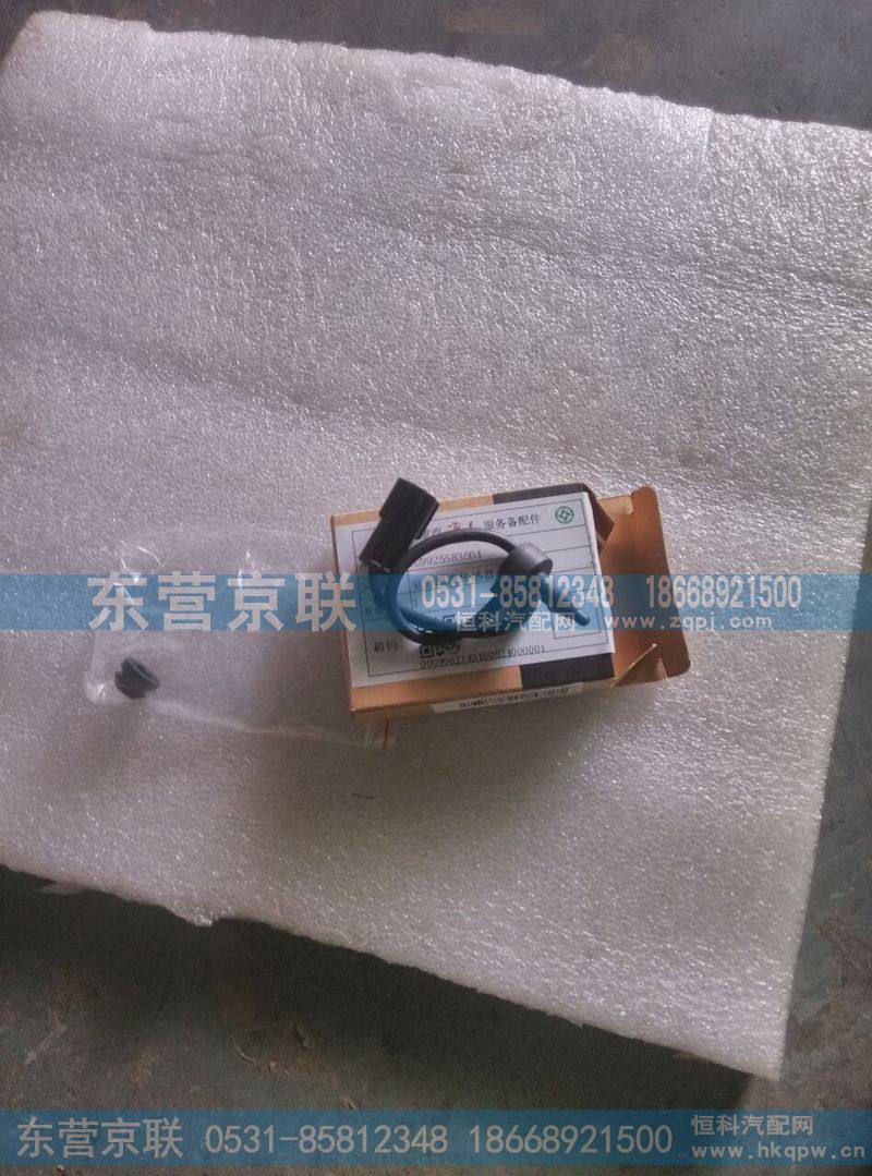 WG9925583004室外温度传感器