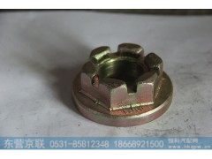 179000320013,凸缘螺母,东营京联汽车销售服务有限公司