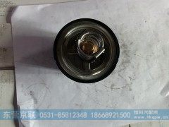 VG1047060002,调温器芯,东营京联汽车销售服务有限公司